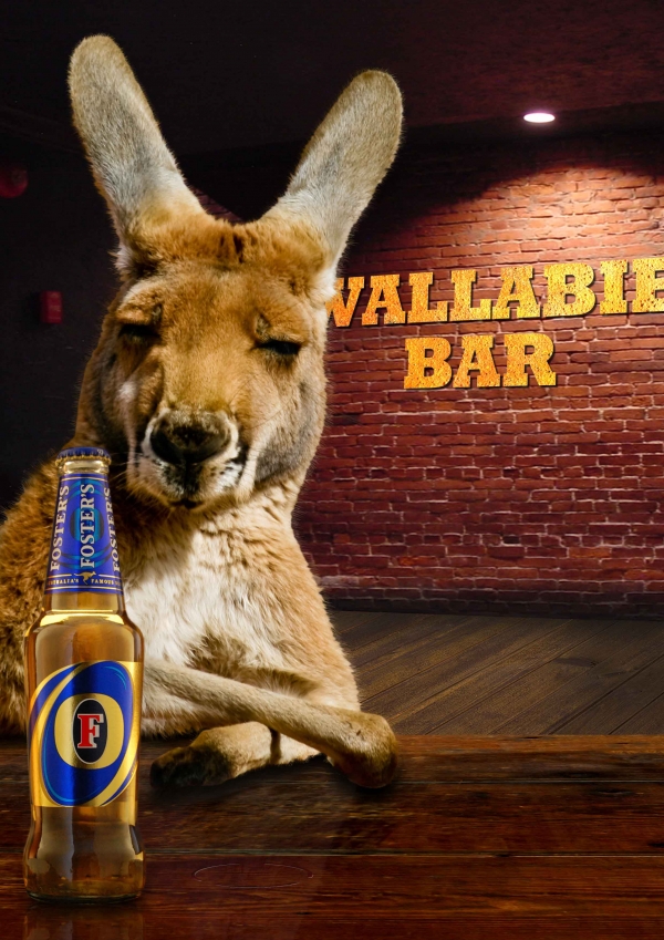 Creation of Wallabie Bar: Step 11